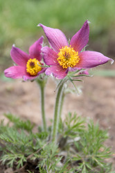 Similar image 20996016