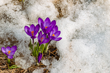 Similar image 20996017