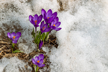 Similar image 20996018