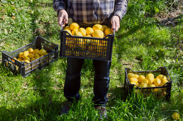 Similar image 20993386