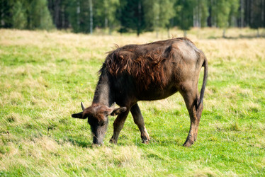 Similar image 20995136