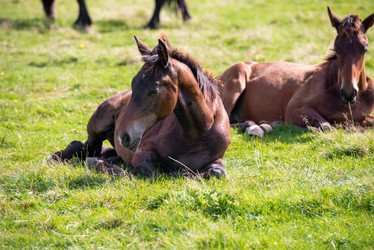 Similar image 20995137