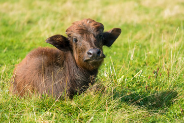 Similar image 20995140