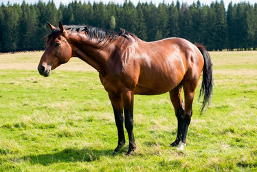 Similar image 20995141