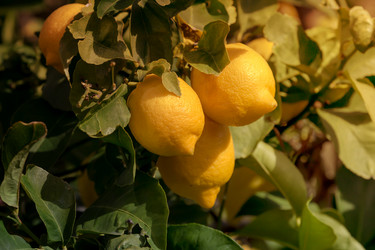 Similar image 20992194