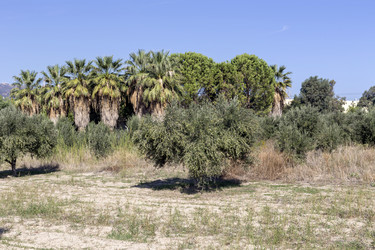 Similar image 20993238