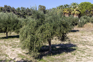 Similar image 20992195