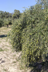 Similar image 21005016