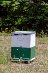 Similar image 20993239