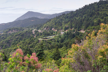 Similar image 20992197