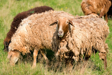 Similar image 20995216