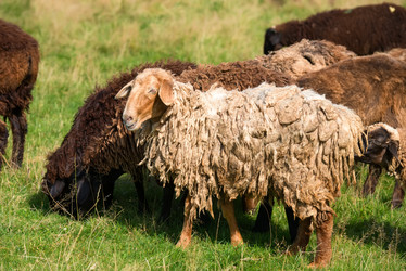 Similar image 20995218