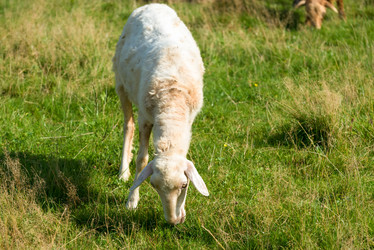 Similar image 20995219