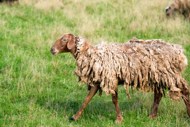 Similar image 20995221