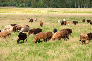 Similar image 20995224