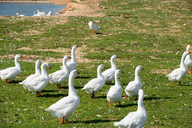 Similar image 20995225