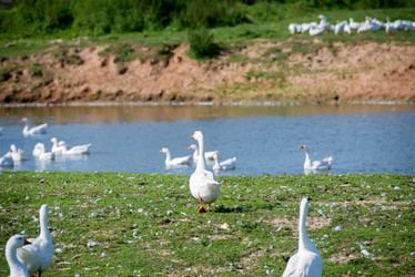 Similar image 20995226