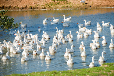 Similar image 20995230