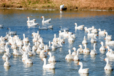 Similar image 20995232