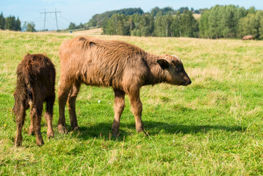 Similar image 20995234