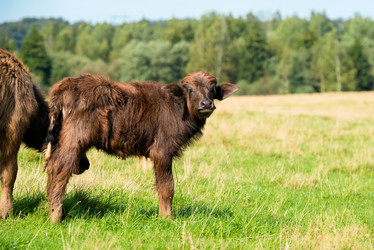 Similar image 20995236