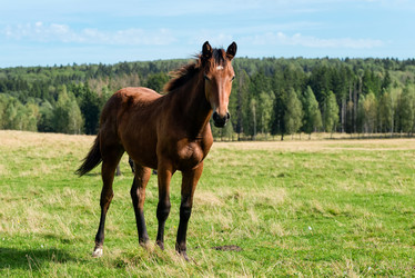 Similar image 20995237