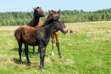 Similar image 20995238