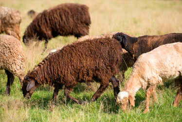 Similar image 20995244