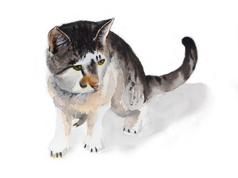 Similar image 20991902