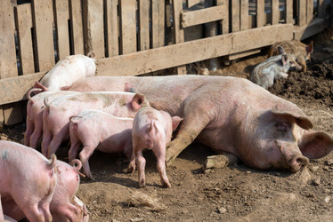 Similar image 20995093