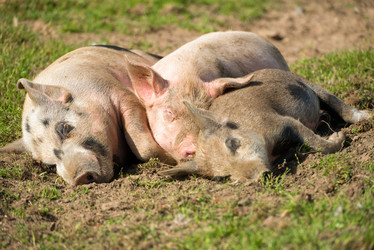 Similar image 20995096