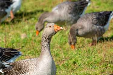 Similar image 20995099