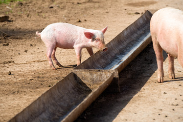 Similar image 20995124