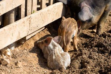 Similar image 20995125