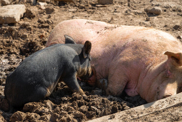 Similar image 20995126