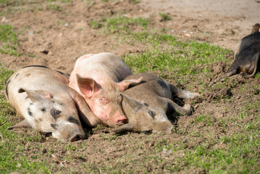 Similar image 20995127