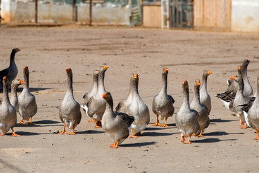 Similar image 20995130