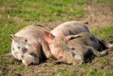 Similar image 20995131