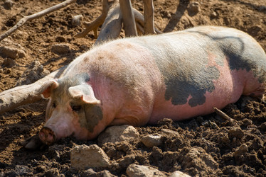 Similar image 20995148