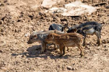 Similar image 20993442