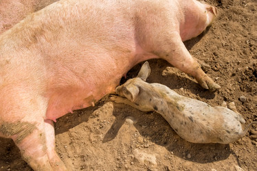 Similar image 20993444