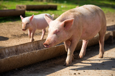 Similar image 20993447