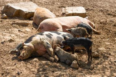 Similar image 20993448