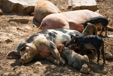 Similar image 20993449