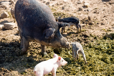 Similar image 20993455