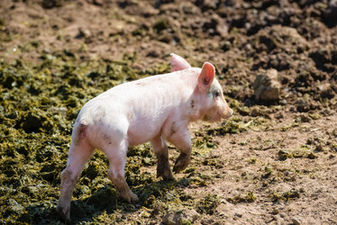 Similar image 20993456