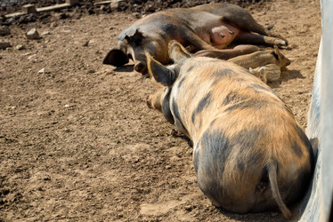 Similar image 20993458