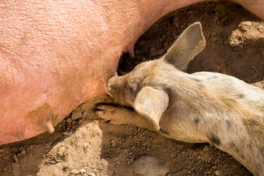 Similar image 20993461