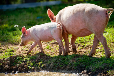 Similar image 20993463