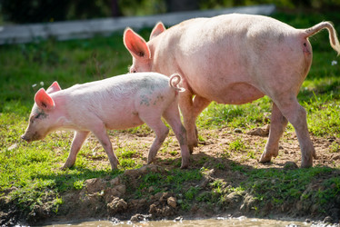 Similar image 20993464